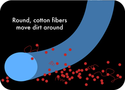 Cotton fiber